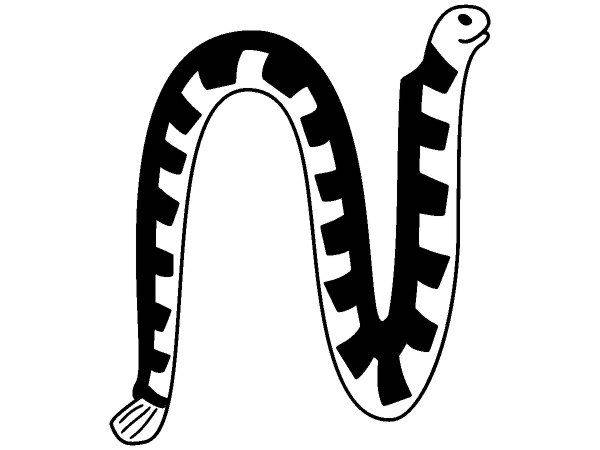 Животные 1197