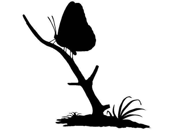 Животные 3813 Животные 3813