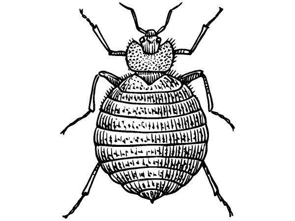 Животные 3757 Животные 3757