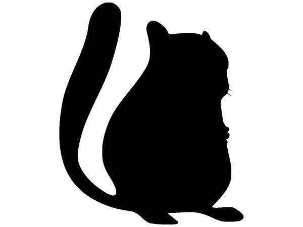 Животные 1343