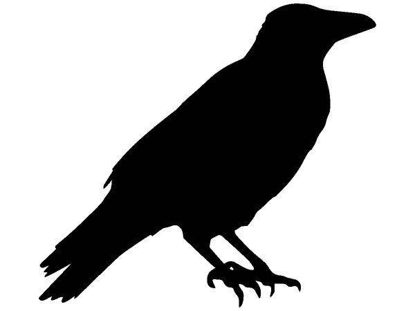 Животные 2092 Животные 2092