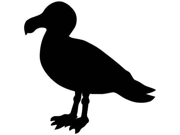 Животные 2997 Животные 2997