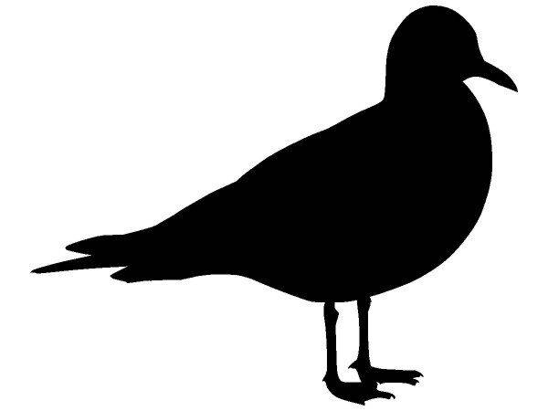 Животные 4250