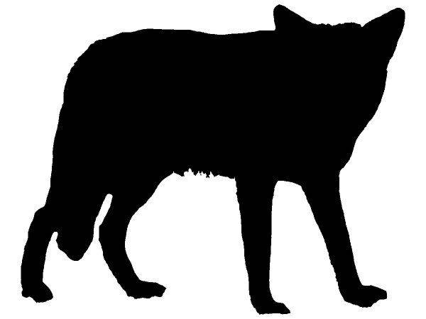 Животные 4096