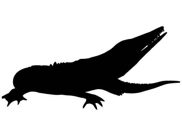 Животные 3445 Животные 3445