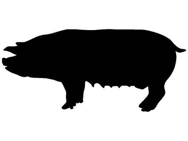 Животные 3112 Животные 3112