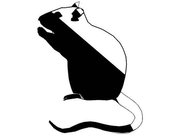 Животные 2471 Животные 2471