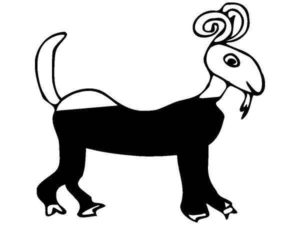 Животные 56 Животные 56