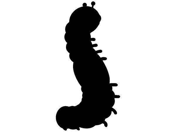 Животные 1383