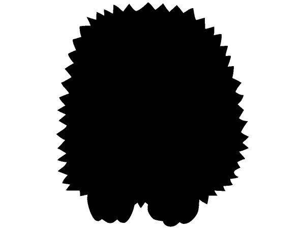 Животные 2273 Животные 2273