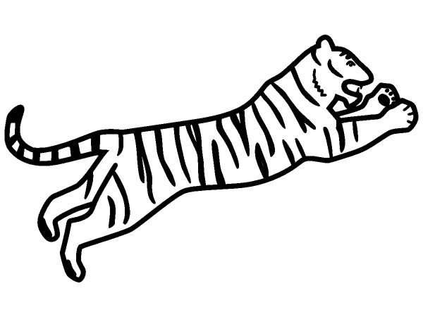 Животные 444