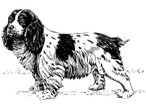 Животные 1124