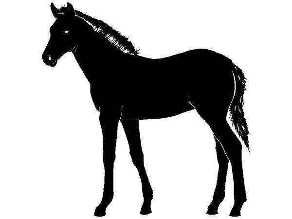 Животные 4046 Животные 4046