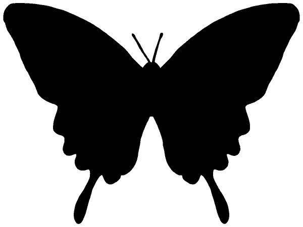 Животные 3136 Животные 3136