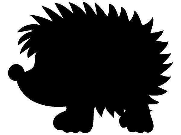 Животные 2427 Животные 2427