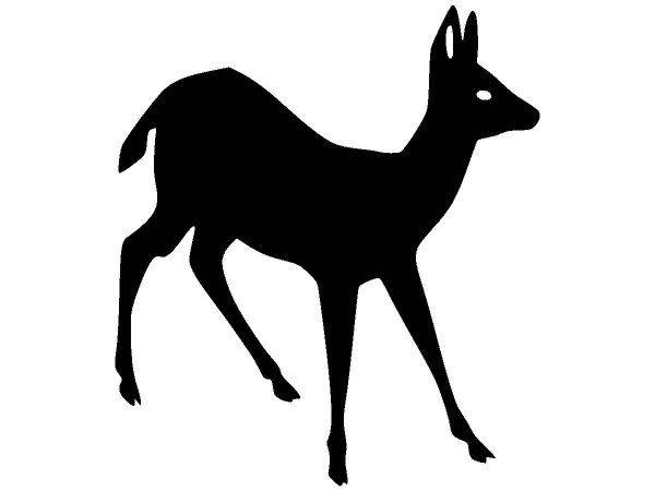 Животные 2910