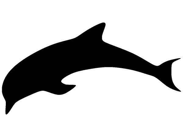 Животные 1594 Животные 1594