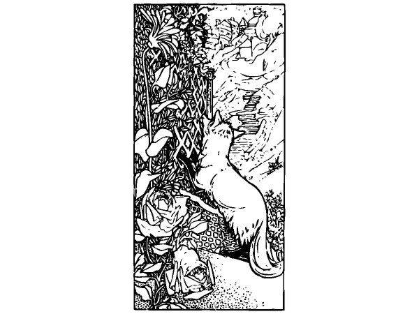 Животные 473