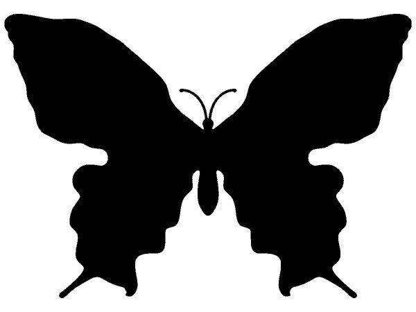 Животные 3015 Животные 3015