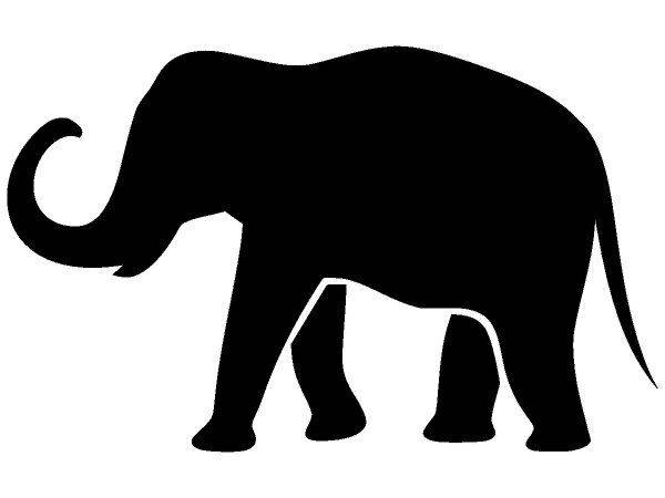 Животные 2646