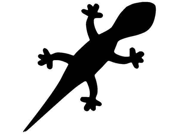 Животные 2991 Животные 2991