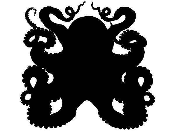 Животные 2746