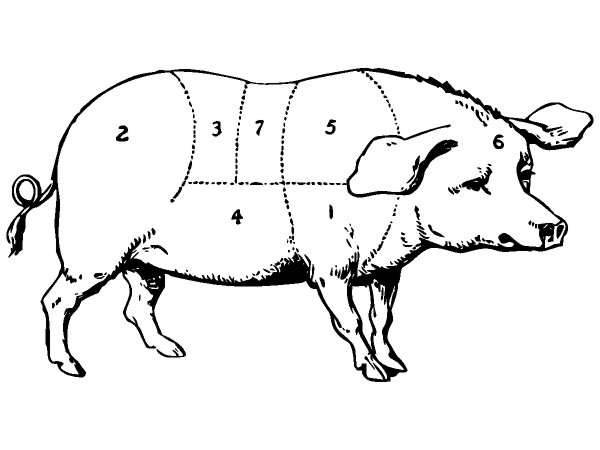 Животные 274