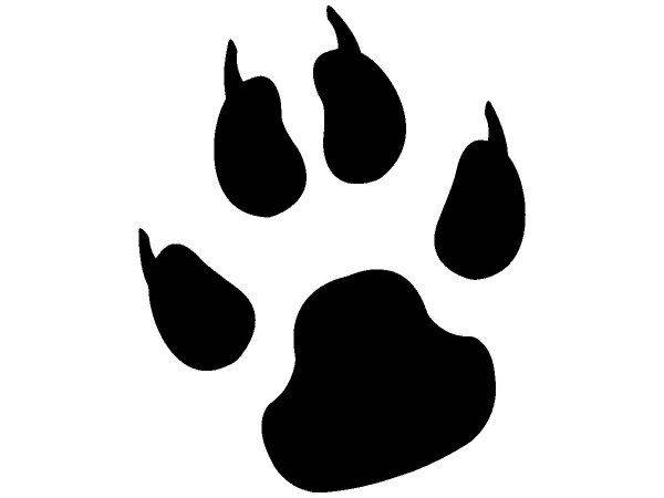 Животные 3036 Животные 3036