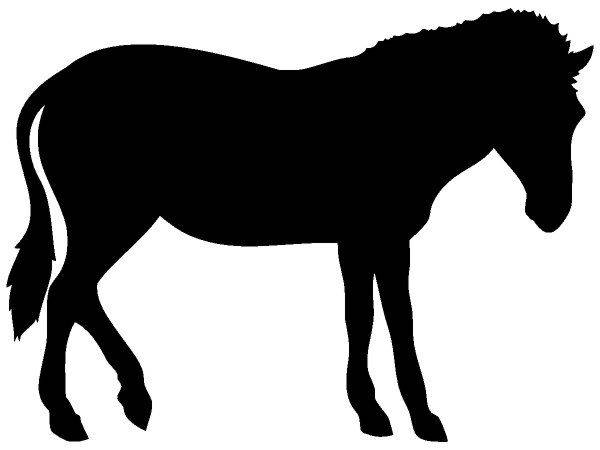 Животные 3753 Животные 3753