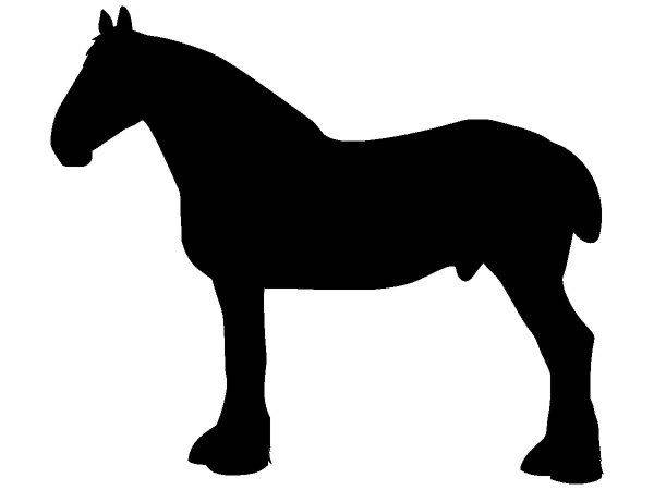 Животные 2387