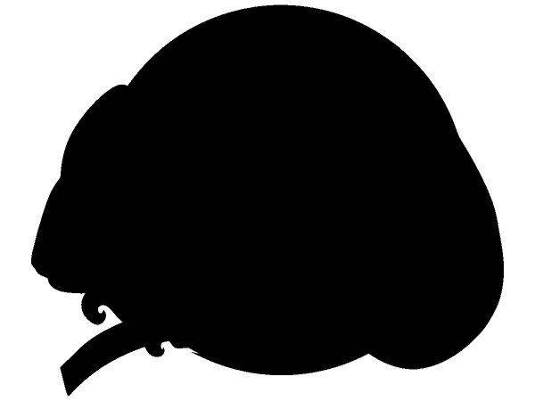 Животные 2212 Животные 2212