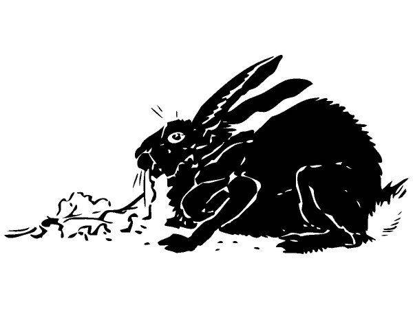 Животные 119