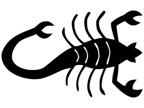 Животные 2161