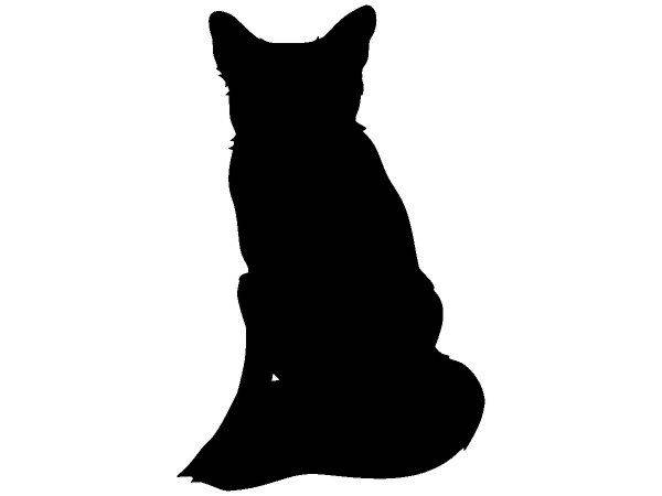 Животные 2192 Животные 2192