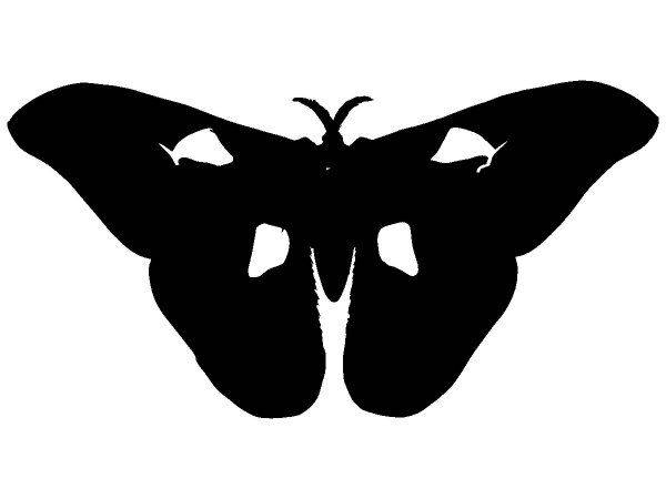 Животные 1368