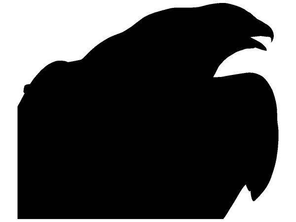 Животные 4160