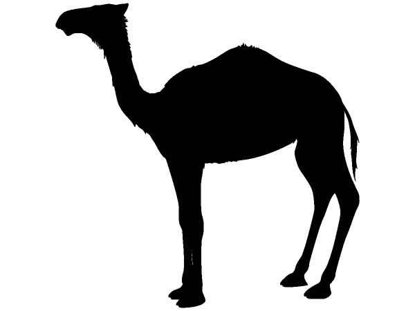 Животные 391