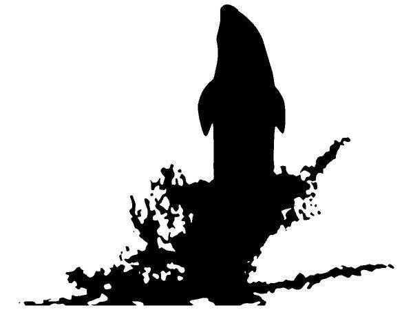 Животные 2257 Животные 2257