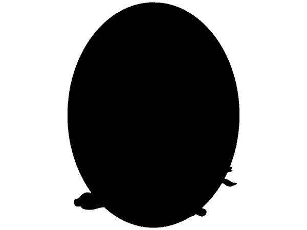 Животные 397 Животные 397