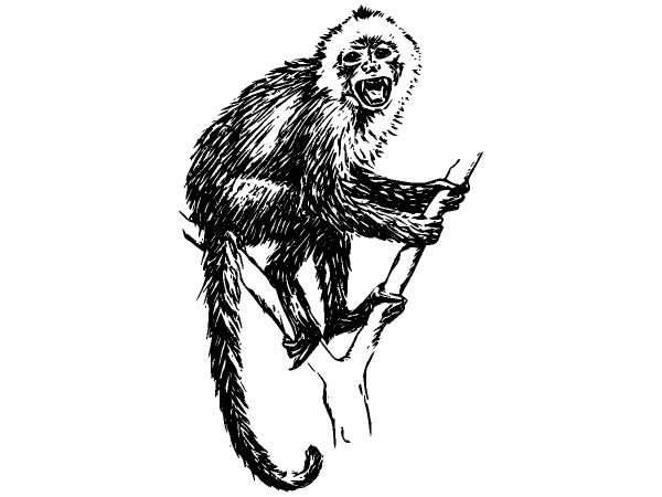 Животные 128