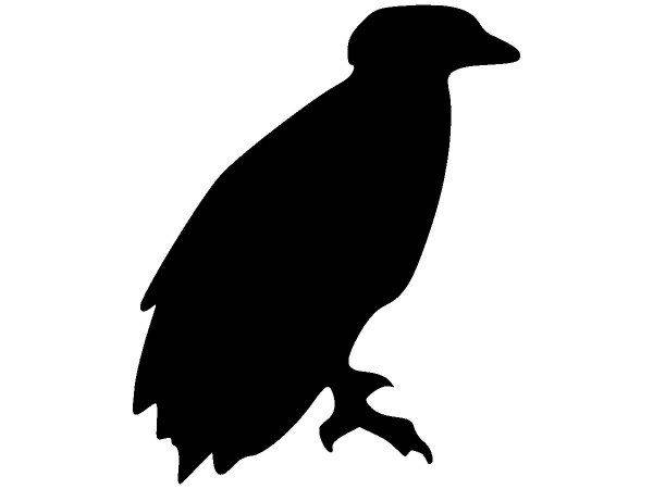 Животные 1581 Животные 1581