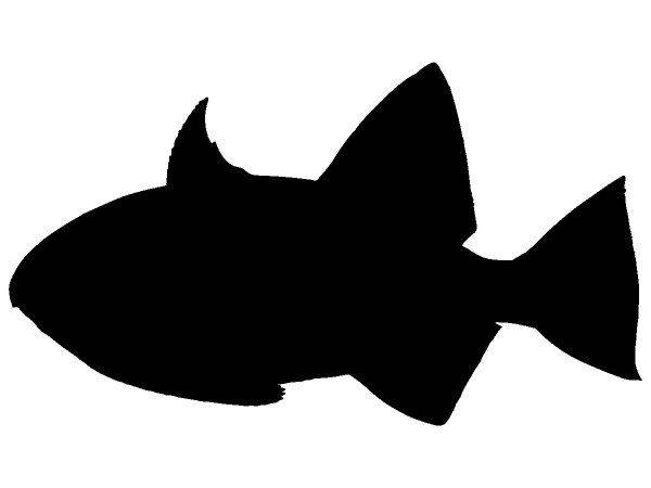 Животные 3246 Животные 3246