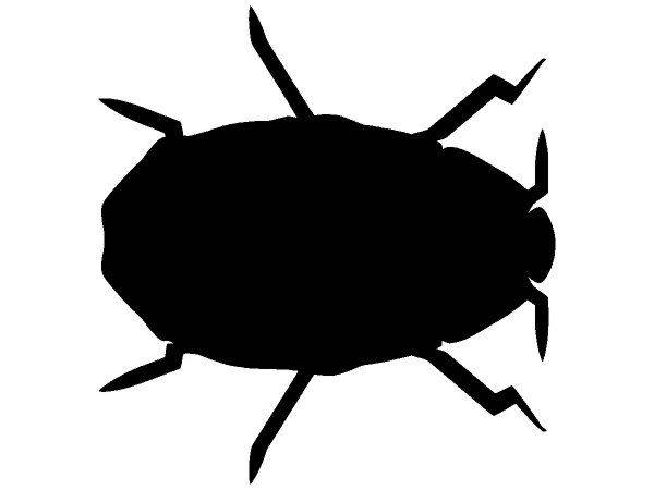 Животные 3064 Животные 3064