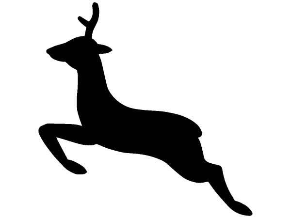 Животные 440