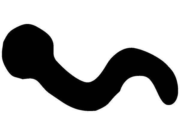 Животные 1170