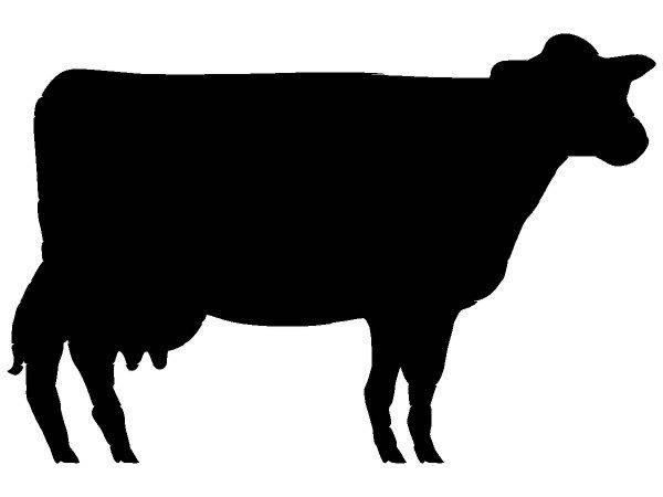 Животные 646 Животные 646