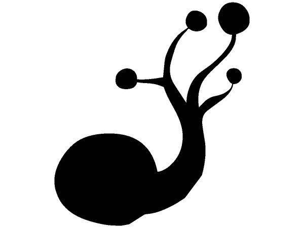 Животные 2070