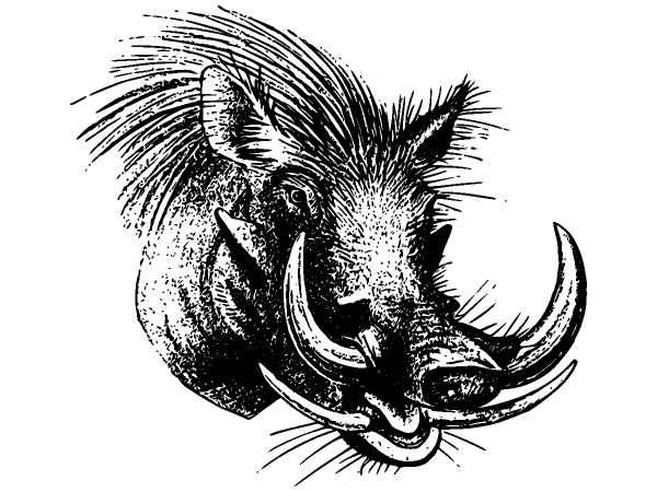 Животные 892