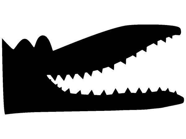 Животные 1728