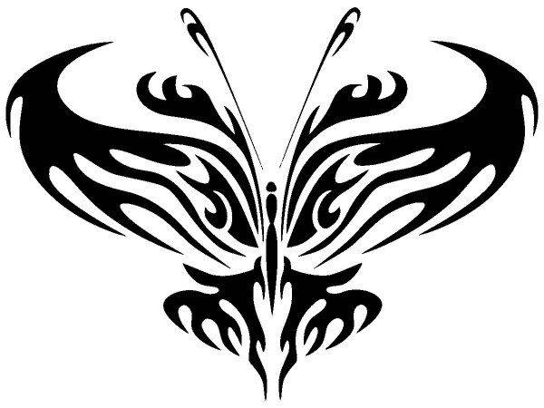 Животные 2635